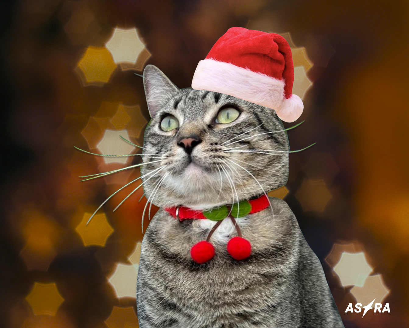 Hello everyone! This is Timofey, mascot of the good news column on ASTRA